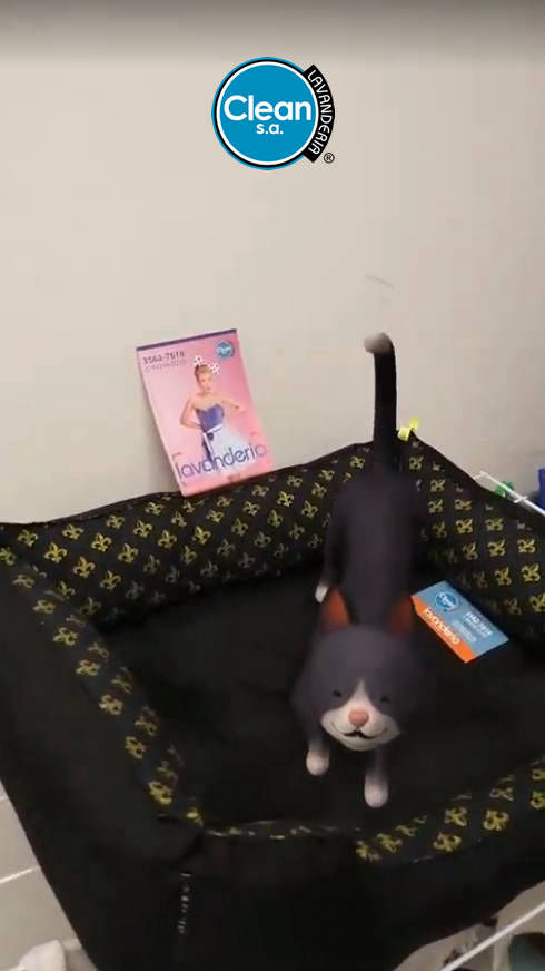 Pet - caminha